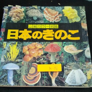 m-316 山渓カラー名鑑 日本のきのこ 山と渓谷社 1991年発行 ハラタケ類 ヒダナシタケ類 腹菌類 キクラゲ類 子のう菌類 など※10