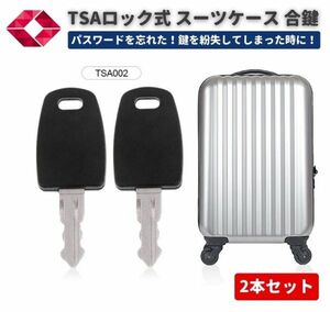 【新品】TSA002 ユニバーサル マスターキー 合鍵 スーツケース キャリーケース バッグ 鍵 TSA ロックキー 旅行 2本セット Z182