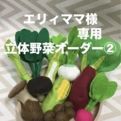 エリィママ様専用立体野菜オーダー②