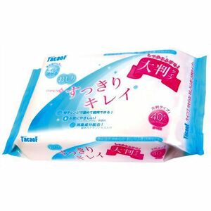 やわらかおしりふき すっきりキレイ 大判タイプ40枚×10セット　TacaoF(テイコブ) おしり拭き