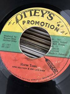 horse tonic-king solomon&joe lick shot