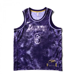 NIKE LOSANGELES LAKERS SELDFJAMESJSY LEBRON JAMES ナイキ レイカーズ レブロン ジェームズ ジャージ タンクトップ 2XL パープル