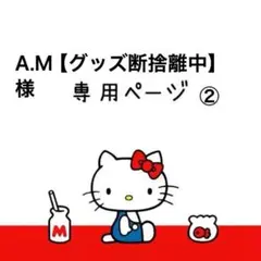 A.M【グッズ断捨離中】様専用ページ②
