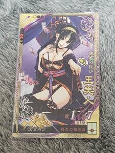 ☆三国志大戦6 大人気 新EX SR王美人 コレクション用☆