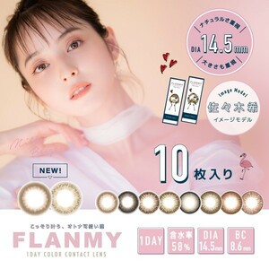 フランミーワンデー FLANMY 1day 10枚入 6箱 カラコン 1day 度あり 度なし ブラウン ブラック コンタクト 佐々木希