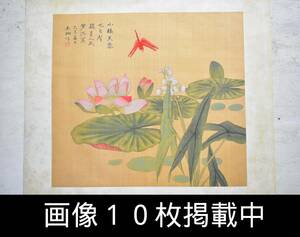 中国画 花鳥図 呉珊作 絹本 蓮 赤蜻蛉 掛軸切り離し 45.5cm×40.5cm 古美術 画像10枚掲載中