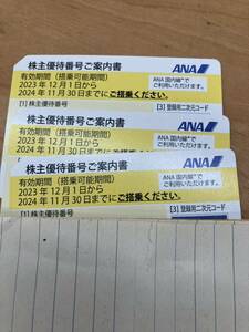 ANA 株主優待券割引券 3枚 期限2024.11/30 全日空
