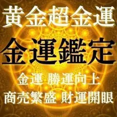 現役霊能者による占い金運鑑定/転職・就職・仕事・人間関係・天職【初回限定価格】