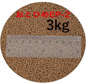 日清丸紅飼料 おとひめEP2(約1.9～約2.0mm) 3kg(500g×6袋) 沈降性(沈下性) 金魚 アロワナ 肉食魚に