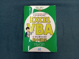 Excel VBA 脱初心者のための集中講座 たてばやし淳