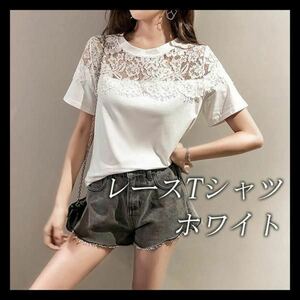 【残りわずか！！！】レース使いクルーネックTシャツ　レース　切り替え　半袖　カットソー レディース