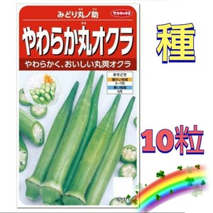 【10粒】やわらか丸オクラ『みどり丸丿助』多収で小果〜大果まで長く収穫出来ます♪　送料73円〜