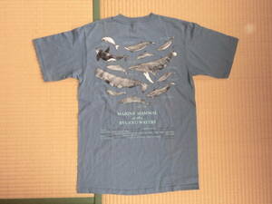 【新品未使用】沖縄ブランド kaisou 海想 Tシャツ Made in USA anvilボディ グレー サイズＳ クジラ 鯨 ホエール 送料185円