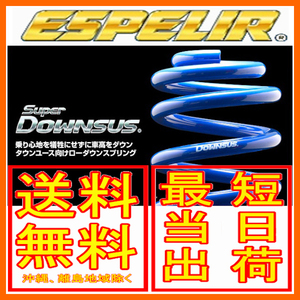 エスペリア スーパーダウンサス 前後セット エルグランド 2WD 3.5L V6 APE50 00/8～2002/05 ESN-170