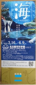 特別展「海－生命のみなもと－」　名古屋市科学館　招待券　1枚　普通郵便送料無料