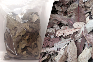 無農薬　殺菌済　クリーンな東南アジアの落ち葉ＭＩＸ　100ｇ　1袋　ダンゴムシ　ワラジムシ　カマキリ　ヤスデ　タランチュラ