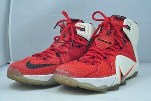 Nike LeBron 12 Heart Of A Lion 684593-601 US Size 9.5 27.5cm ナイキ レブロン ジェームス ★ 希少！ ★ 人気！ ★