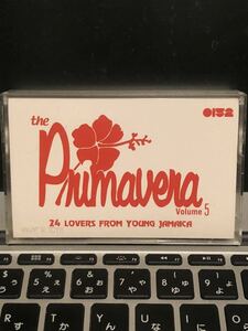 CD付 MIXTAPE PRIMAVERA REGGAE HITS 5 MIXTAPE 0152RECORDS 24 LOVERS JAMAICA MIGHTY CROWN RED SPIDER SKA ROCKSTEADY DUB クボタタケシ