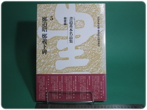 状態良/シリーズ書道基本名品集 5 楷書編 鄭道昭 鄭羲下碑 比田井南谷編 雄山閣出版/aa9314