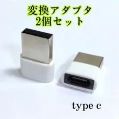 USBType-C 2個セット 変換コネクター 変換アダプタ iPhone 白