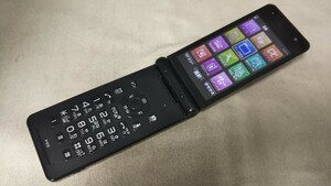 DG4619 docomo FOMA P-01E Panasonic パナソニック ガラケー ケータイ 折り畳み式 簡易動作確認＆簡易清掃＆初期化OK 判定○ 送料無料　