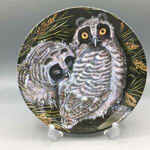 英国 ウェッジウッド トラフズク 梟 フクロウ 鳥 飾り皿 絵皿 皿 ⑤⑤⑤ (1)