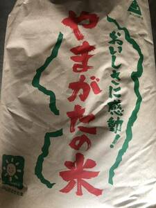 全国送料一律1400円　新米　令和5年産　山形県産　コシヒカリ　白米 24キロ