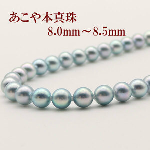 真珠 パール ネックレス あこや真珠 パールネックレス 8mm-8.5mm ブルーグレーパール シルバー 冠婚葬祭 13251