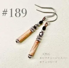 ピアス　189