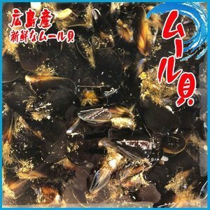 ムール貝　１kg　広島産