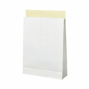 【新品】(まとめ）TANOSEE 宅配袋 晒片つや 大 白封かんテープ付 1パック（100枚）【×3セット】