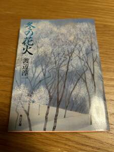 冬の花火　渡辺淳一　角川文庫