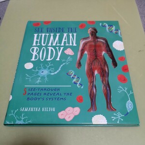 ◎人体図の児童書　See Inside the Human Body英語版
