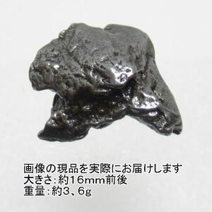 NO.6 カンポデルシエロ隕石原石(Sサイズ)(1個入)＜生命力・正しい方向への導き＞アルゼンチンの鉄質隕 天然石現品