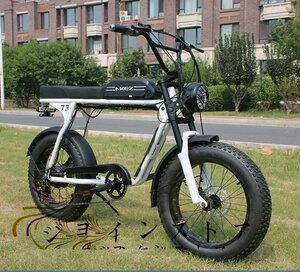 美品登場☆ レトロな電動自転車E-BIKE 20x4.0インチ 36V 350W 13Ah s3rx リチウム電池 モトクロス