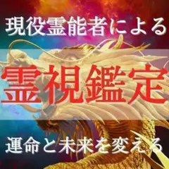 現役霊能者による霊視鑑定/金運・恋愛・復縁・子宝・仕事・占い【初回限定価格】