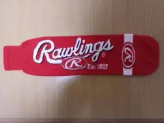 野球バットカバー　Rawlings