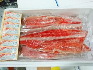 定塩紅鮭フィーレ 8kg 約9枚 さけ サケ 鮭 べにさけ ベニサケ べにざけ ベニザケ 紅鮭 フィレー 汐紅鮭 塩紅鮭【水産フーズ