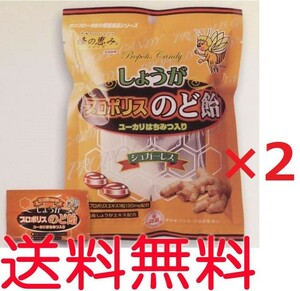 プロポリス入りのど飴生姜（しょうが）　80g ×2袋　キャンディー　代引不可　ゆうパケット　送料無料