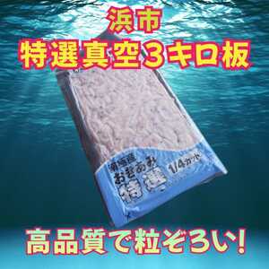 浜市［特選真空3キロ板］4個入1箱　オキアミ　釣りエサ　