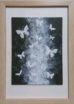 ポケットアート チョウのキモチ60(額付き) 絵画 インテリア 蝶々