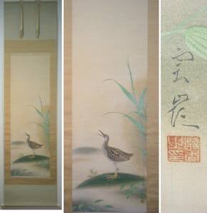 【真作】掛軸　赤松雲嶺　水鳥　日本南画院同人　名品　合箱入　J99
