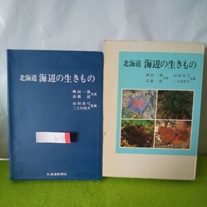 h-018 北海道 海辺の生きもの 動物 海藻 北海道における海辺の生きものの特色 他 昭和61年7月30日発行※1