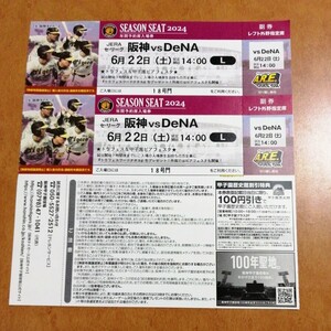 6月22日（土） 阪神甲子園球場 阪神vsDeNA レフト外野指定席 2枚 連番