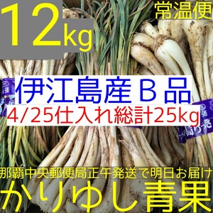 〈当店イチオシ〉伊江島産 島らっきょうＢ品約12kg【常温便無料】①