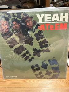 THE A.T.E.E.M. - YEAH 12インチ