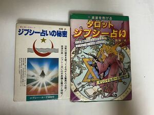 未来を告げるタロットジプシー占い、愛と呪いのカードジプシー占いの秘密 南條武