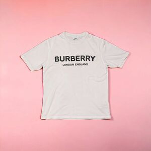 BURBERRY バーバリー TB ロゴプリント Tシャツ カットソー 半袖