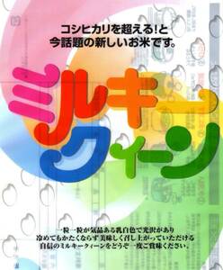 令和5年産　新米　愛知 ミルキークイーン 玄米30kgから玄米25kgに変更 【送料無料・一等品質】