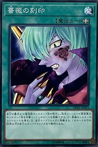 遊戯王 ノーマル 魔法 1枚 薔薇の刻印 DP21